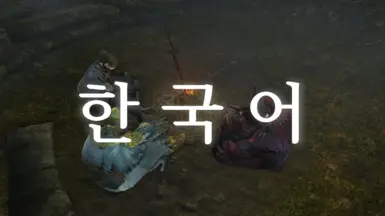 DSR无缝合作的韩文翻译