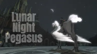 月夜飞马