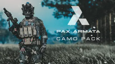 纹理版Pax Armata迷彩包