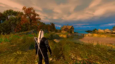 巫师 - 皇帝PHNX Reshade