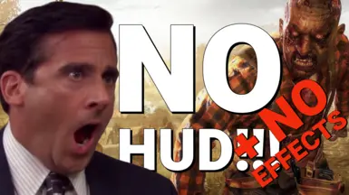 无HUD-无效果