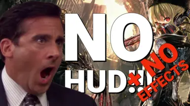 无HUD-无效果