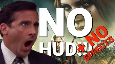 无HUD-无效果