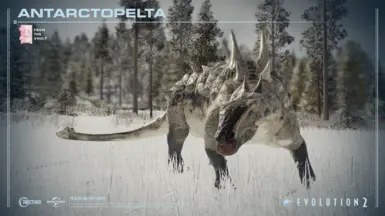 Antarctopelta oliveroi（从地窖中）（新物种）