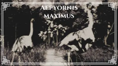 EE的Aepyornis maximus（替代物种）