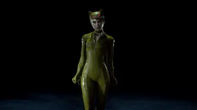 金色西装猫女（新西装槽）