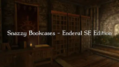 时尚书柜 - Enderal SE 版