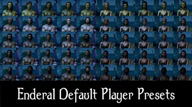 Enderal 默认播放器预设