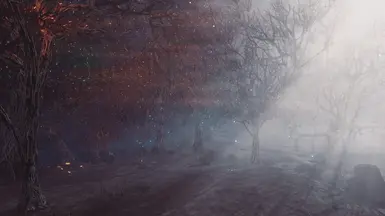 魔法森林——阿巴拉契亚的冬天版