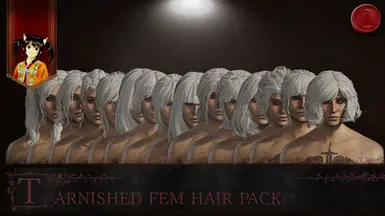 Tarnished Fem Hair Pack（TRAPPUSSI 制作）修复版