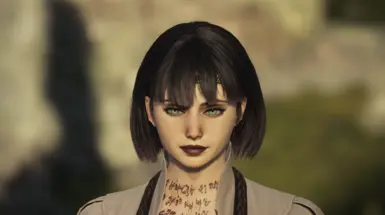 Emilia CharacterManager 预设