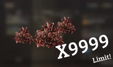 9999 龙生命水晶极限