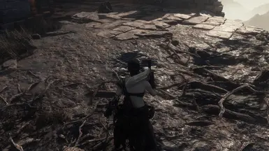 黑暗之魂3贴图更新项目（Alpha）