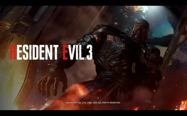 生化危机2和3——正确的Gamma ReShade