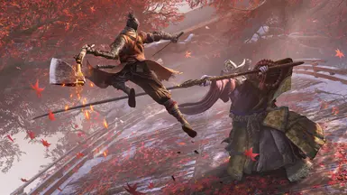存档 NG3