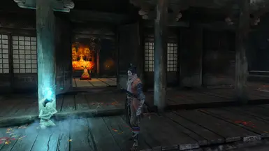只狼影子关怀包