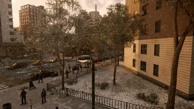 雪路与植被