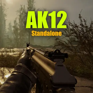 AK12 独立式