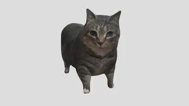 OIIA 猫 - 箭头替换器