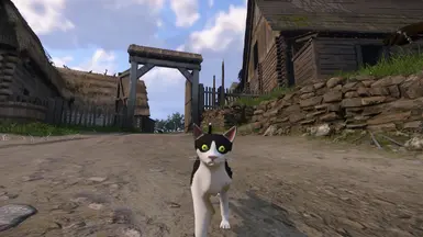 加芬克尔·隆巴顿猫——替代者