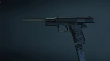 香港USPCS消音器