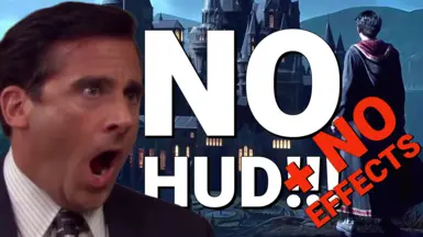 无HUD-无效果